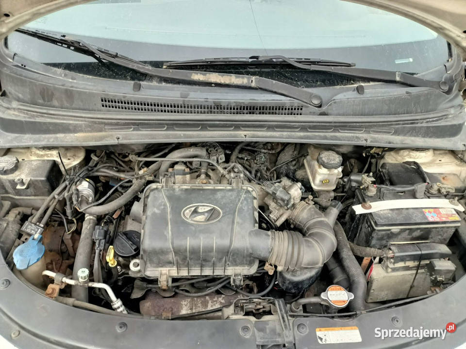 Hyundai i10 Hyundai I10 11 10r I 20082013 biały Tarnów