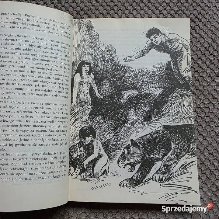 pierwsze wydanie Tomek w Gran Chaco Alfred Kraków