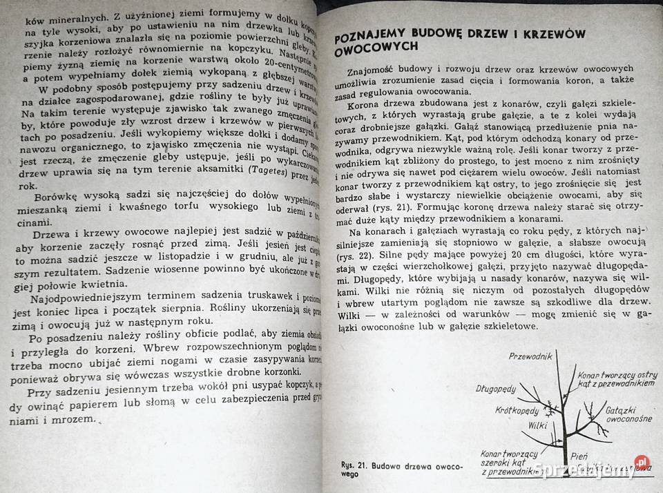 ABC Sadownictwa Moja działka Augustyn Mika Pozostałe Chełm