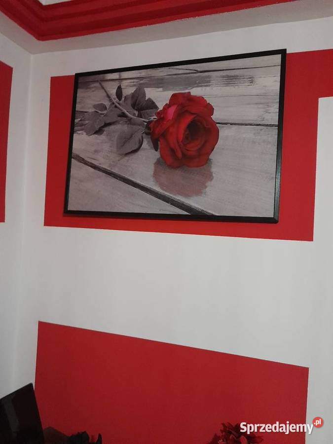 Meblościanka Szafa Witryna Stan