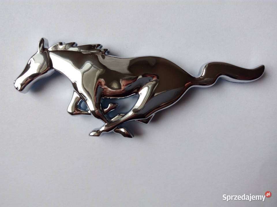 Konik Mustang Szczebrzeszyn