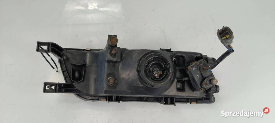 LAMPA PRAWA PRZÓD NISSAN ALMERA Lipno