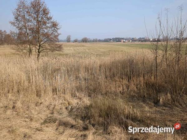 Nieruchomość gruntowa niezabudowana syndyka
