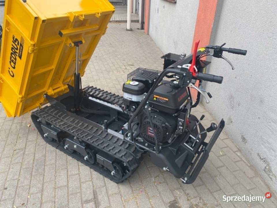 Transporter Cedrus TR800GE 15 800 Wysyp wielkopolskie Konin
