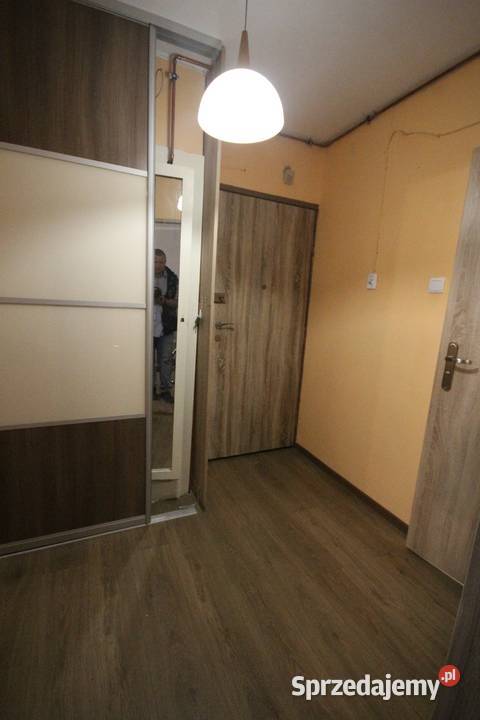 2pok 39met Szczepińskiej ROZKŁADPIWNICAWINDA własność dolnośląskie