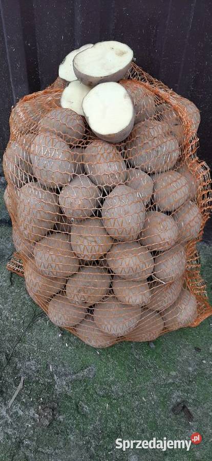 sprzedam ziemniaki Łomża