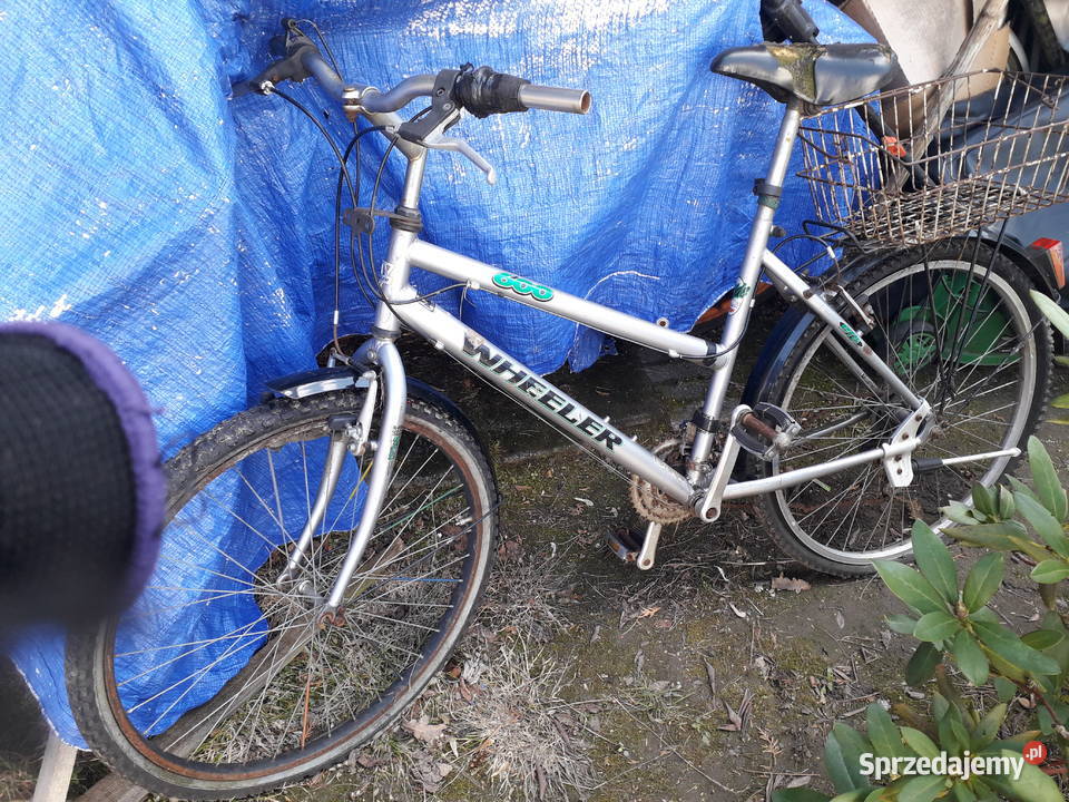 Rower góralka Warszawa