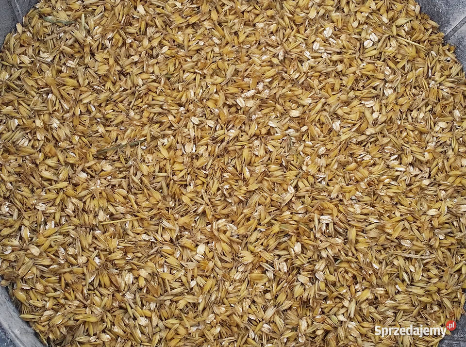 Pasza kur niosek naturalna gnieciona karma Jodłownik