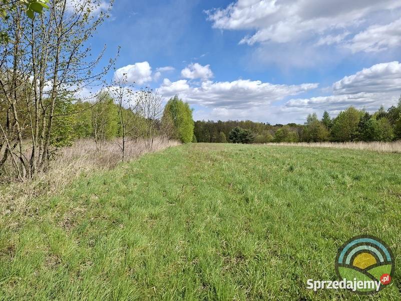 Kleszczów gm Zabierzów działka rolna 8340 m2 rolna Sprzedaż sprzedam