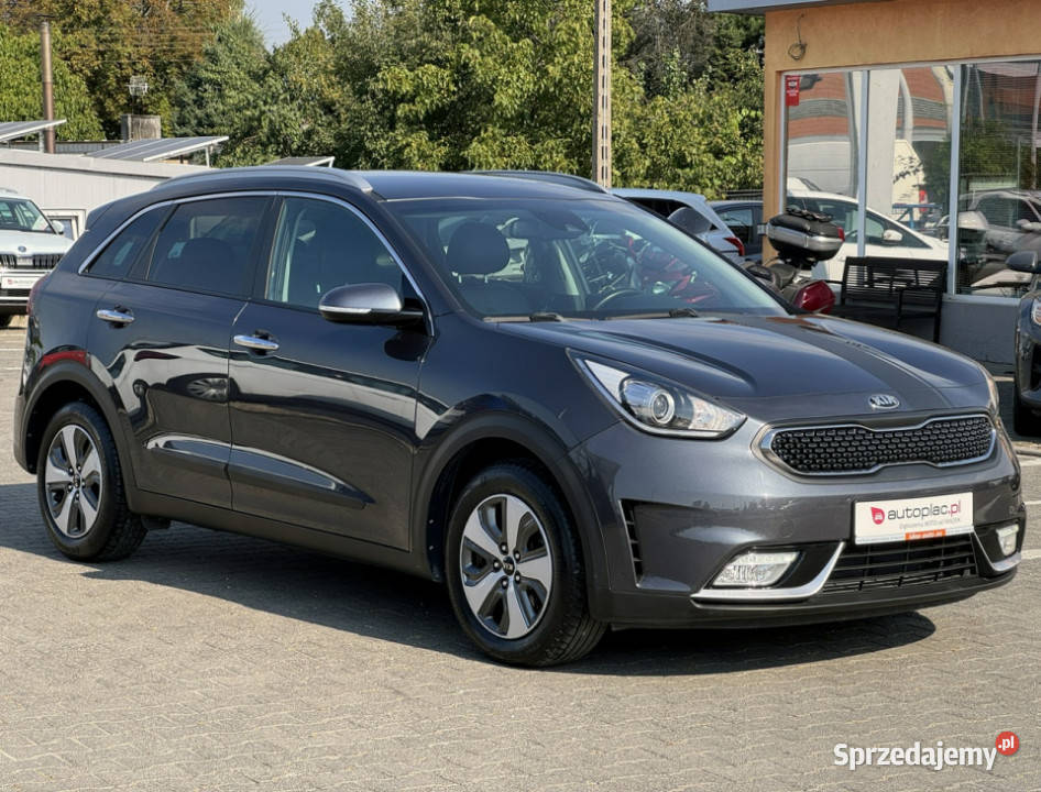 Kia Niro FILMHYBRYDANiski SUV Suchy Las