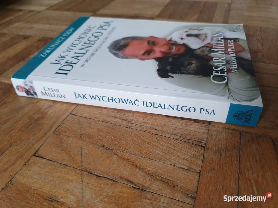 SUPER STAN Cesar Millan WYCHOWAĆ ZOSTAĆ miękka Wrocław