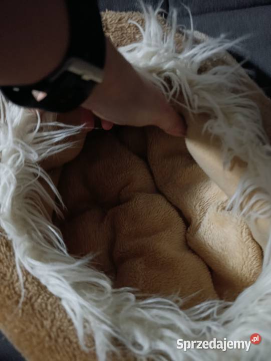 budka legowisko domek kota psa Poznań sprzedam