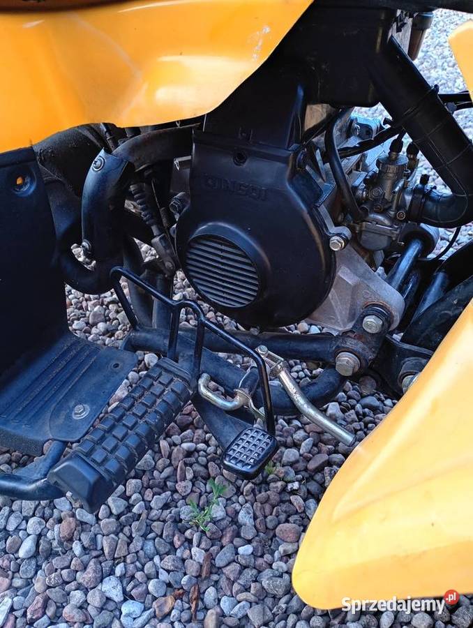 Quad ATV 50 2t Żółwin