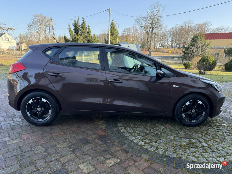 Kia Ceed 14 MPI 100 154 Serwis ASO Bezwypadkowy brązowy Ocice