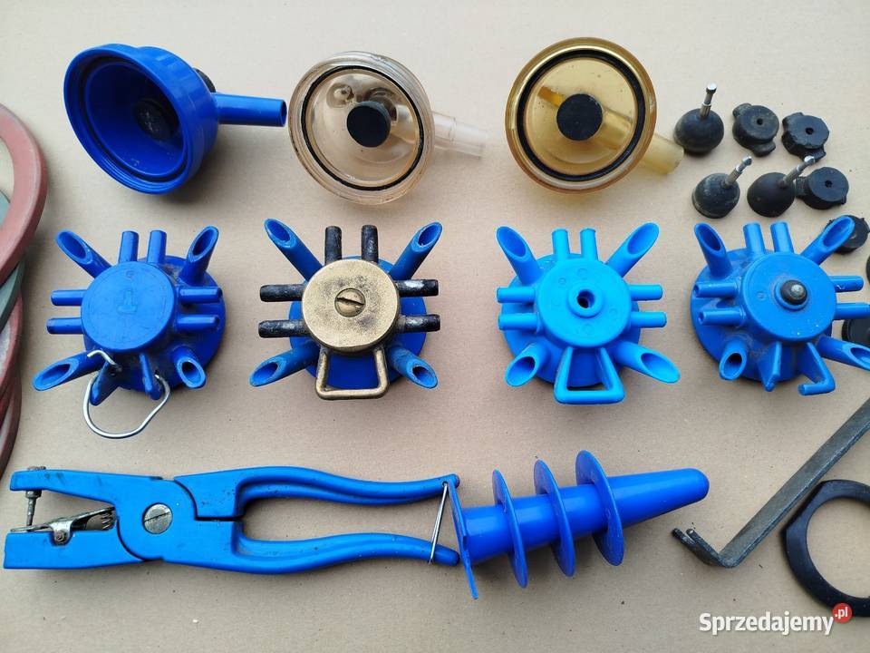 Kolektor kolczykownica poskrom kujawsko-pomorskie Strzelno