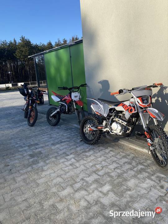 Crosspit bike Barton 125 80mth nowości cross