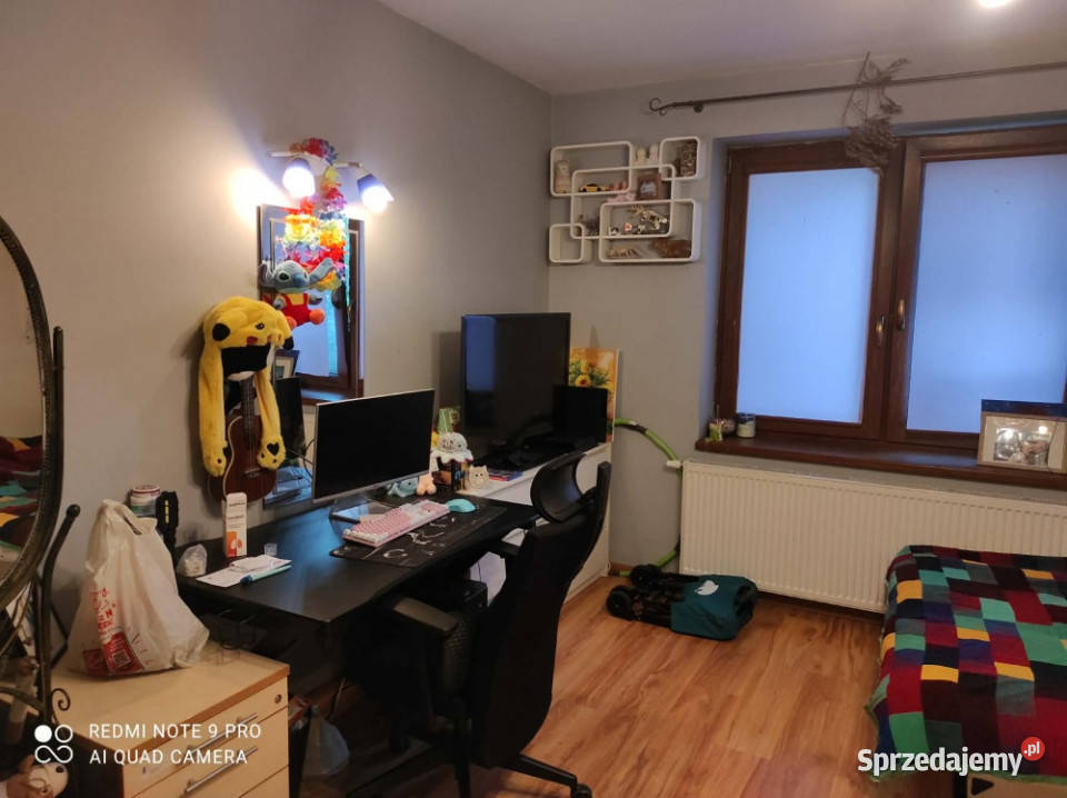 Siedlisko Łodzi działka 6 544 m 2 domy garaż Bedoń-Wieś
