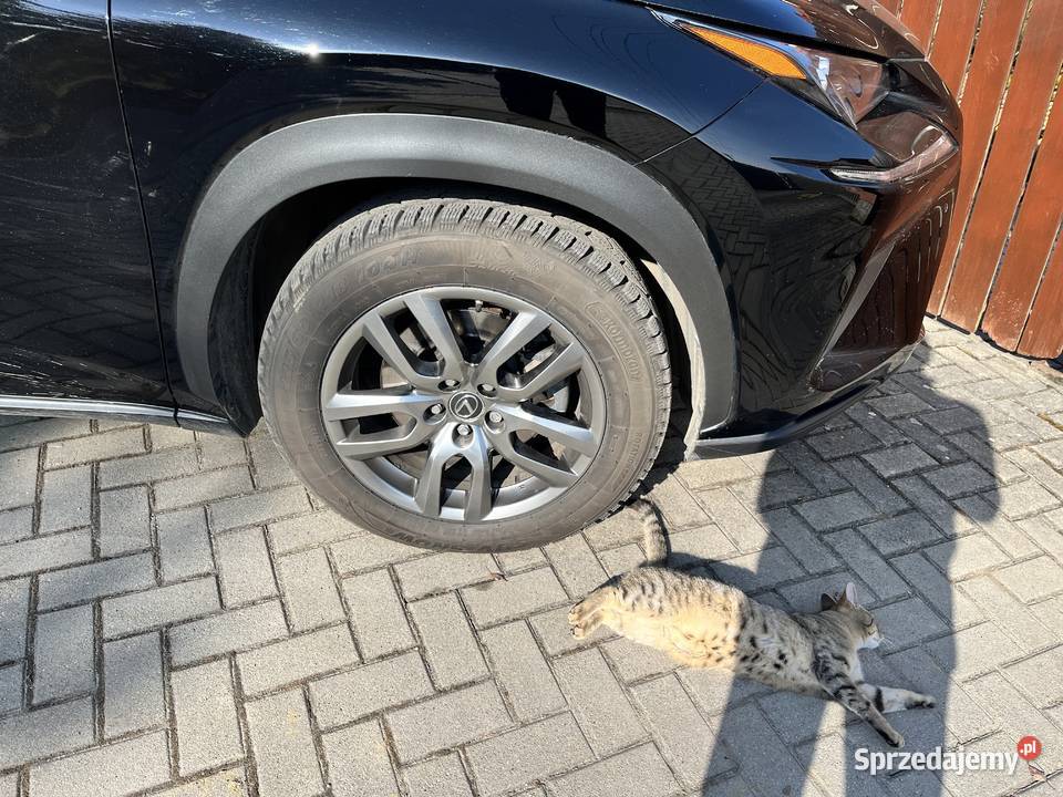 Sprzedam Lexus NX I 25 NX300Hybryda salon NX