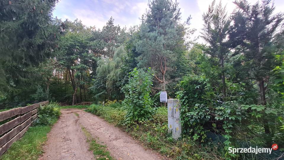 Działka 368 ara Mazury Grabowo 11700 Mrągowo