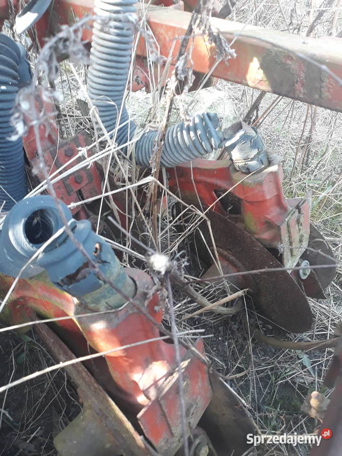 Siewnik rozyjski redlica talerzowa Przyszowice
