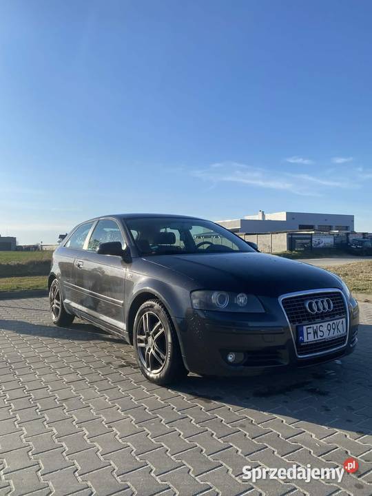 Audi A3 8P 19 TDI 248100km Wschowa