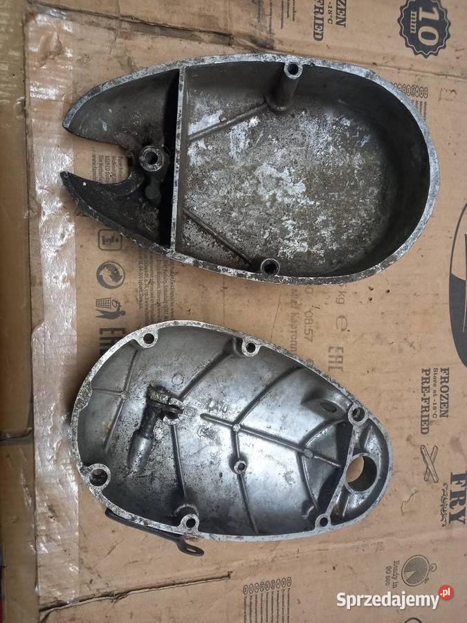 Dekle komar sztywniak mazowieckie Sokołów Podlaski