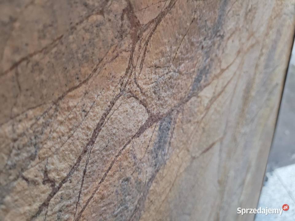 Fornir Kamienny Rain Forest Brown tapeta 2MM