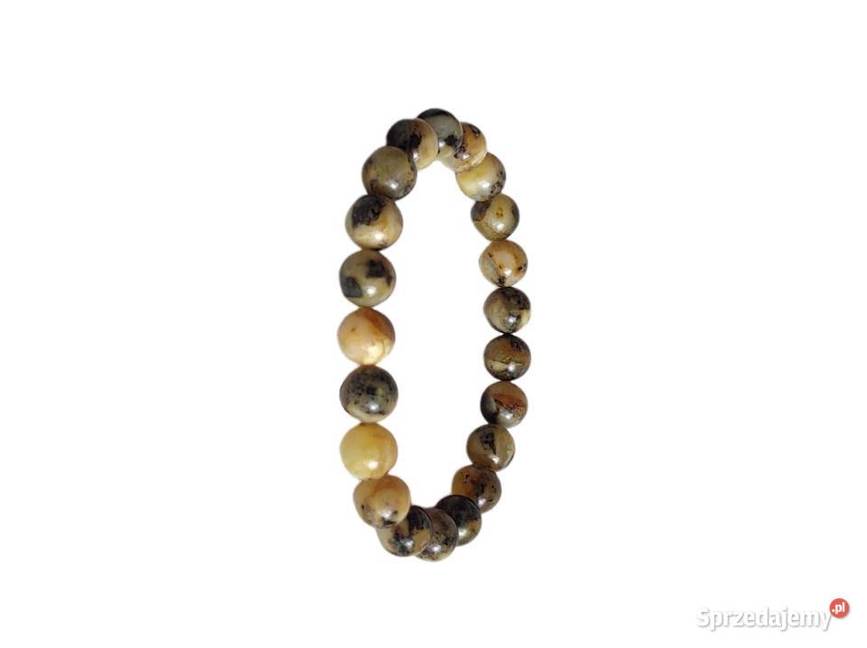 7513 Łaciate Bursztynowe Brudaski Kędzierzyn-Koźle