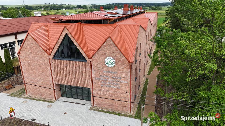 CEGŁA MALINOWA RĘCZNIE FORMOWANA CEGŁA Cegły klinkierowe Kraśnik