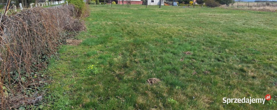 Działki na sprzedaż opolskie Gościce