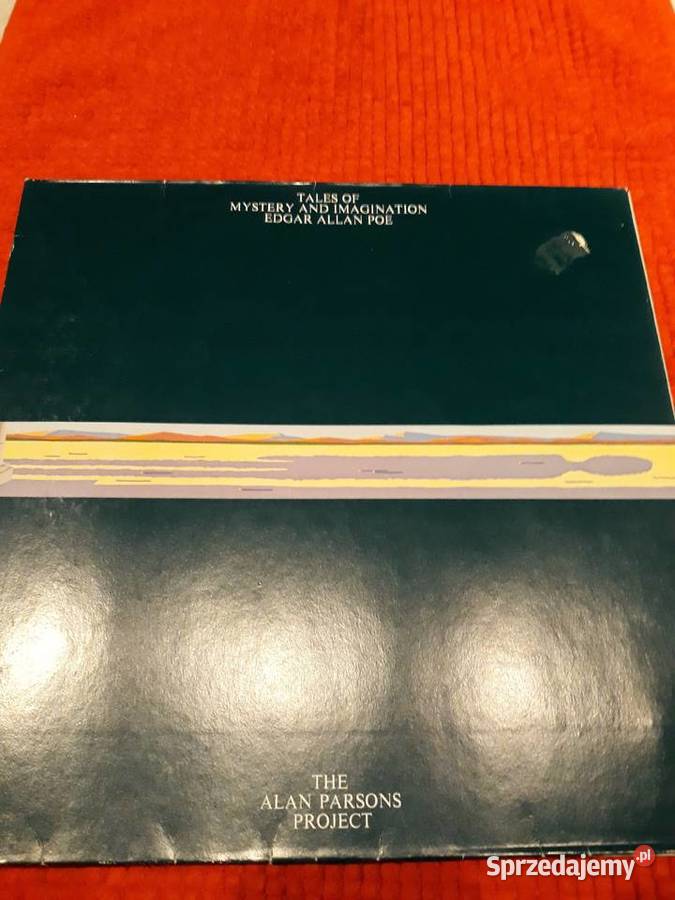 Płyty winylowe z muzyką rockową kolekcja własna Rzeszów