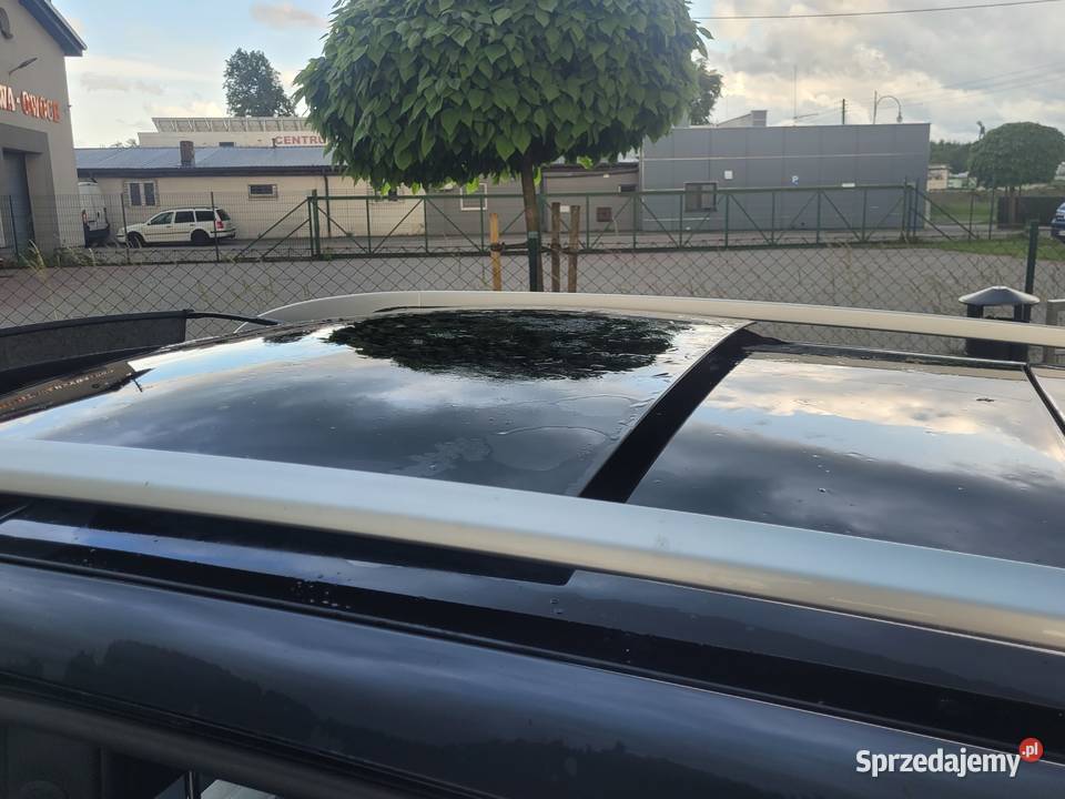 15dci SZYBER DACH SKORA klimatronik nowy rozrzad sprzedam
