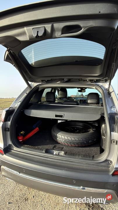 Jeep Cherokee Limited 2021 32 V6 LPG 200 kW benzyna+LPG Ciecierzyn