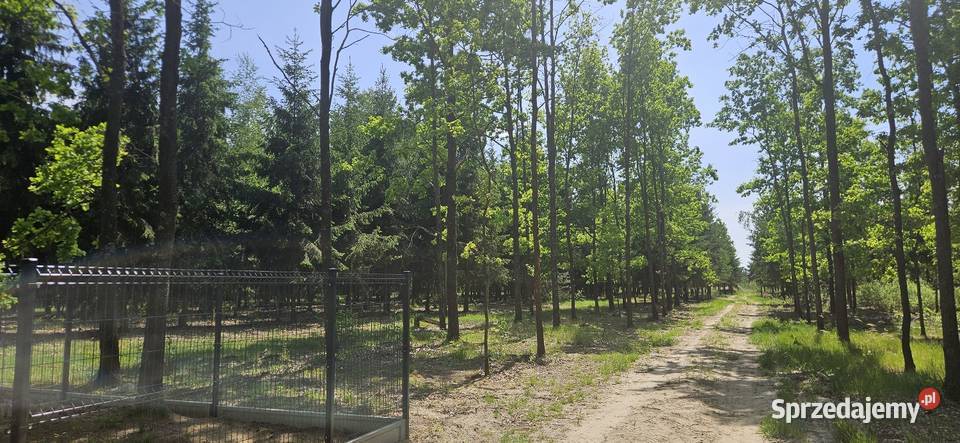 Działka bud 1202M2 WZ STUDNIE
