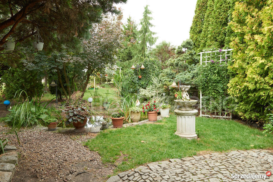 Lokal użytkowy z domem i ogrodem wielkopolskie Leszno sprzedam