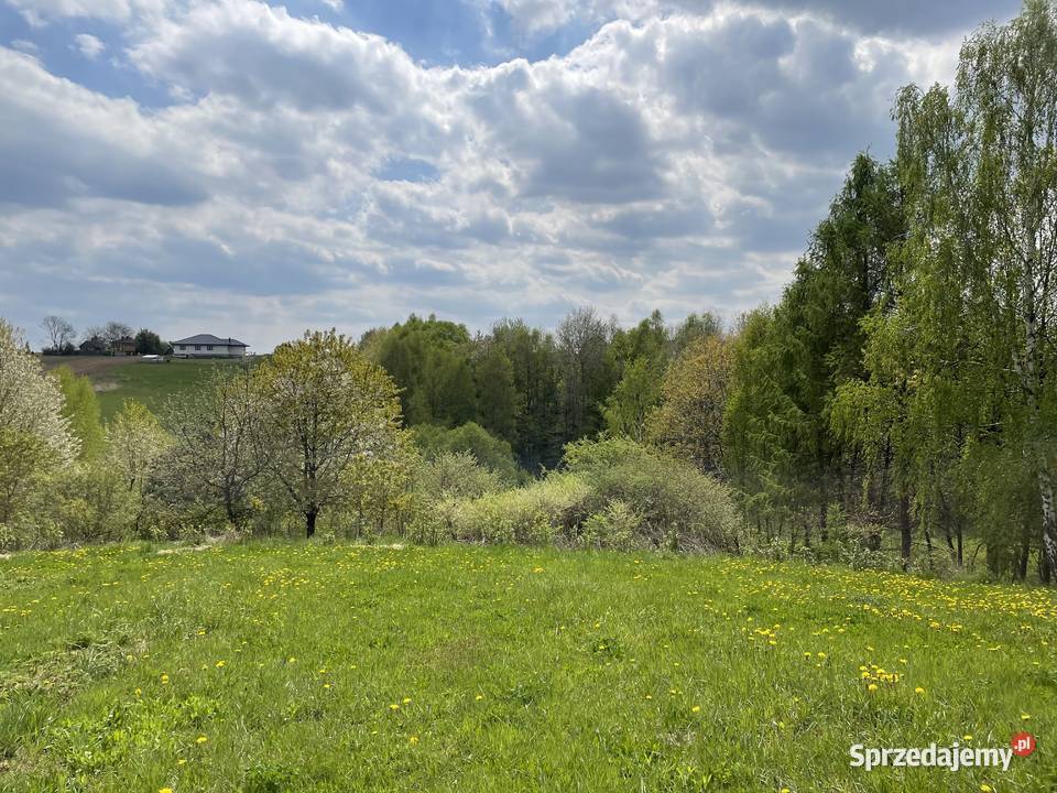 Dom z dużą działką na sprzedaż powiat staszowski asfalt