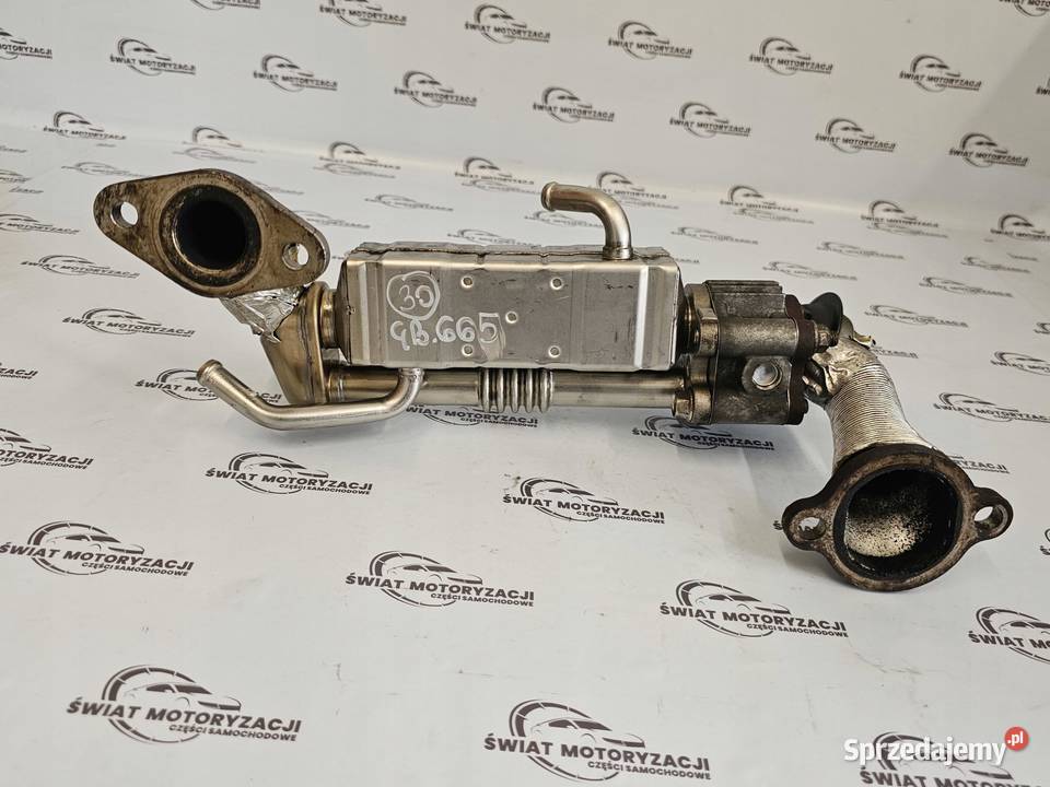 Mazda CX7 22 CITD 4x4 10r R2AA 175 chłodniczka świętokrzyskie