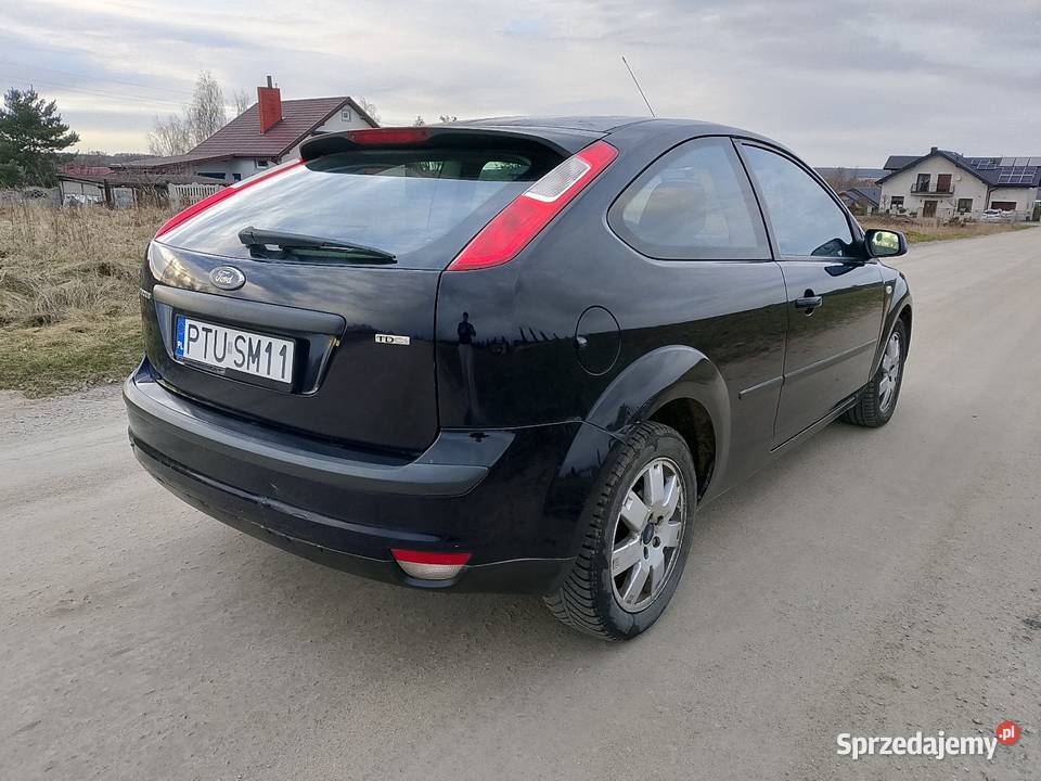 Ford Focus Turek