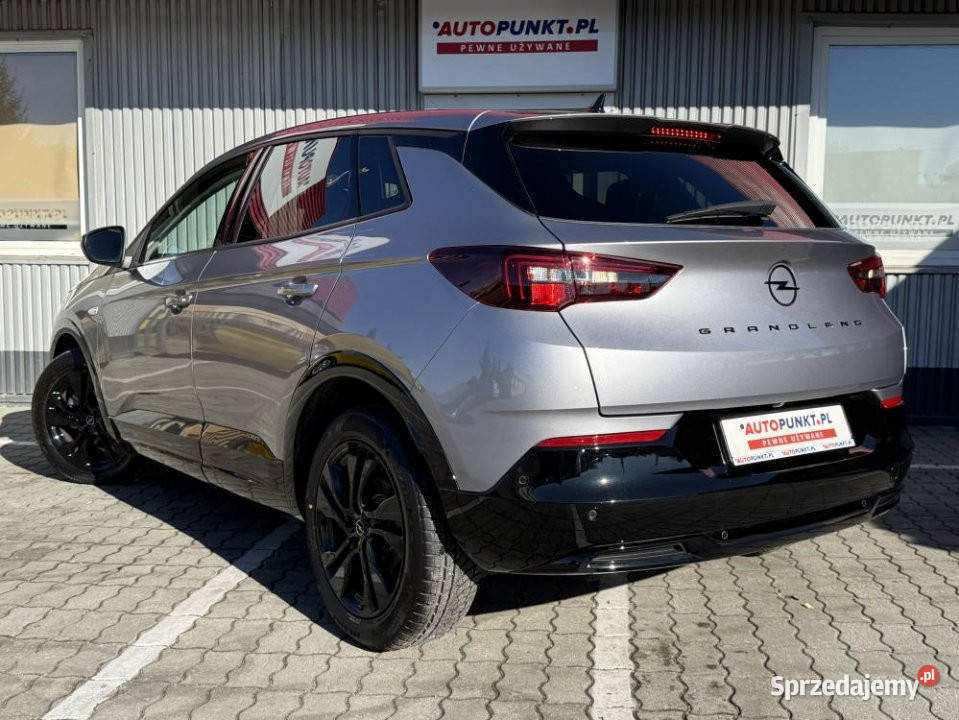 Opel Grandland 2023r Salon Fvat 23 Bezwypadkowy Rok produkcji 2023 Rzeszów sprzedam