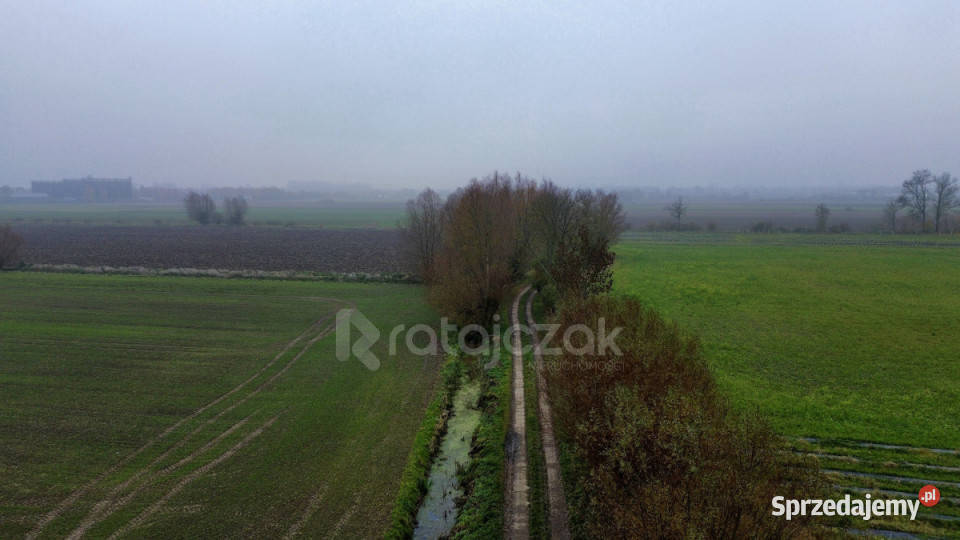 Grunt Drewnica Wierzbowa 3012m2 budowlana Grunty i działki