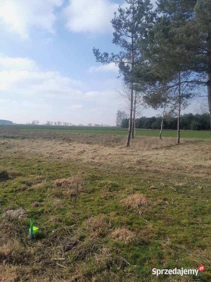 Sprzedam dzialke z gotowymi warunkami łódzkie Skierniewice