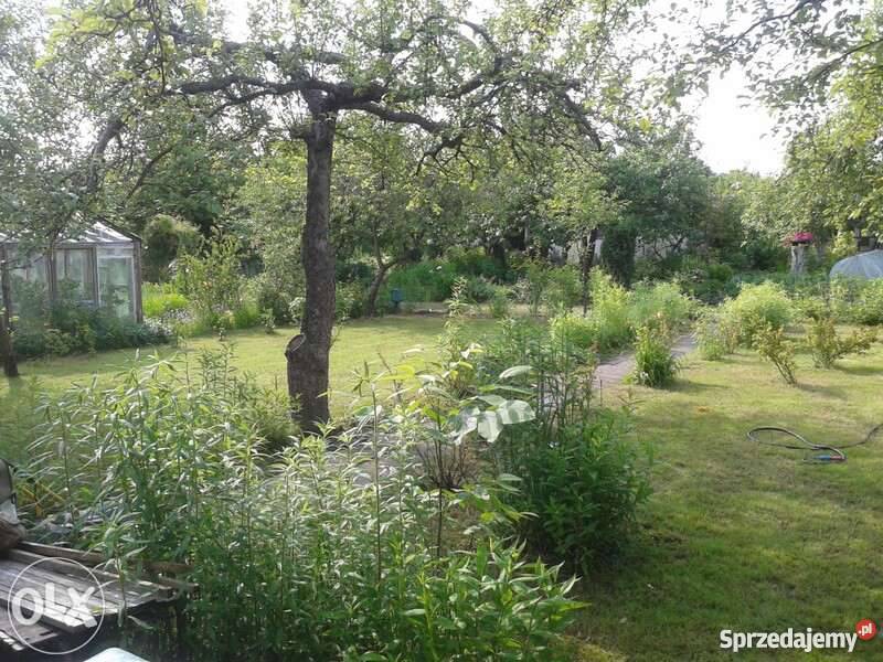 Działka pracownicza Łódź Górna Łódź