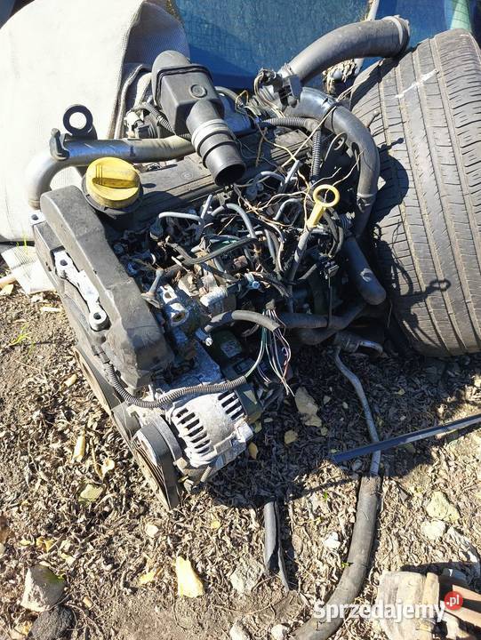 Silnik Renault 15dci Megane 2 Kangoo Clio Sławno