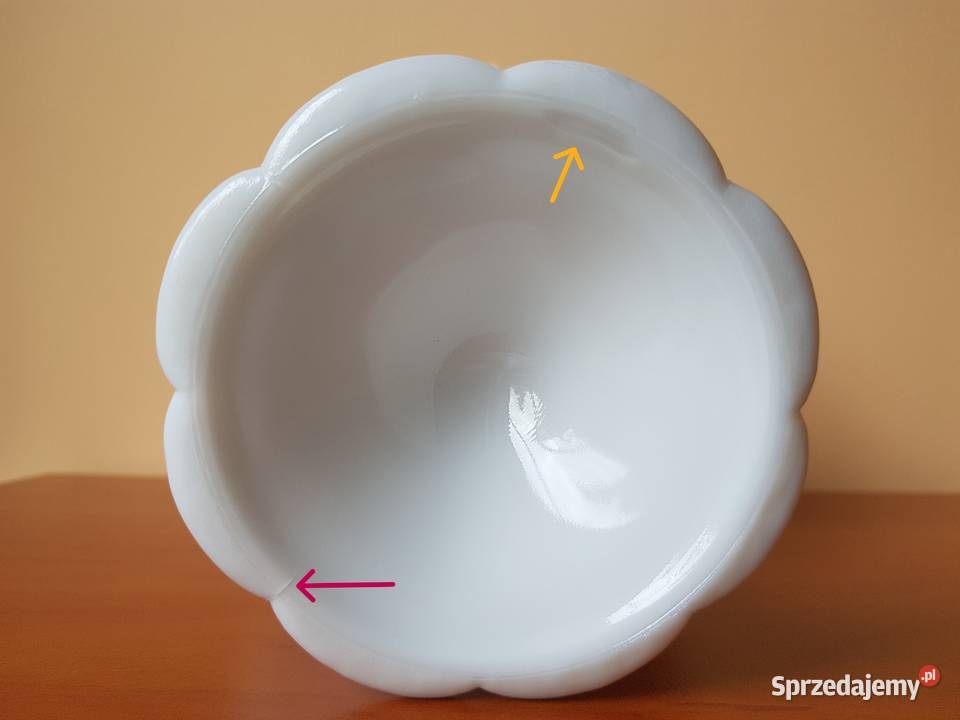 Mała owocarka lattimo Jabłuszka Zawijasy Dąbrowa Górnicza