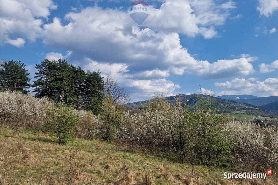 Działka z pięknym widokiem Sprzedaż Wieprz