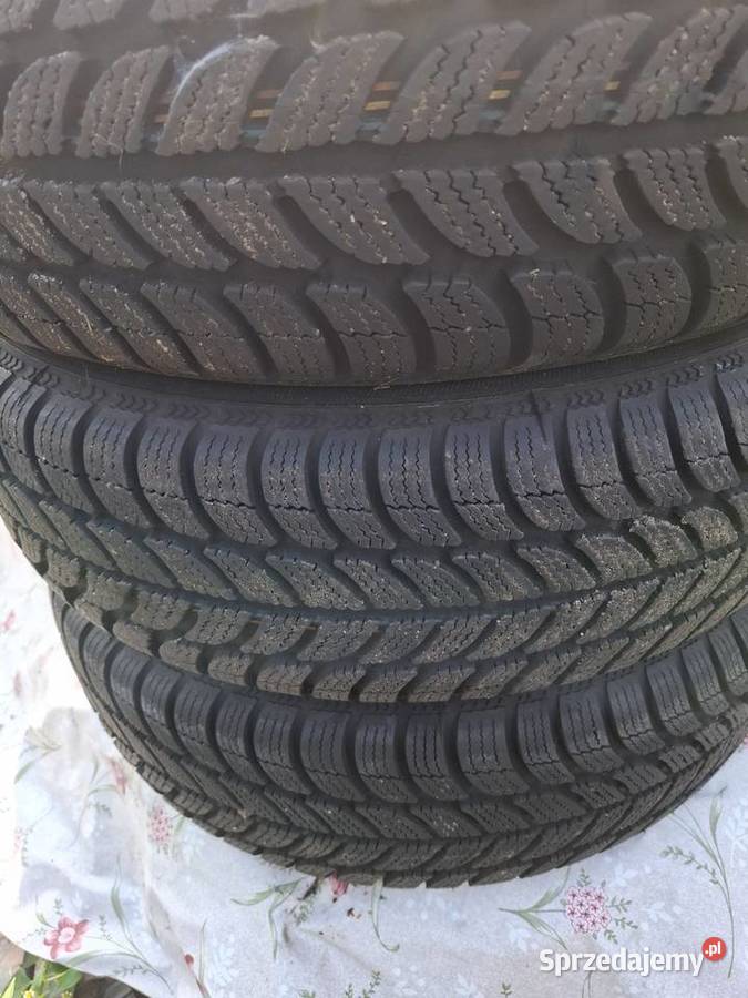 Opony zimówki 1756515 Dębica Frigo2 4 zima Samochodowe Zielona Góra