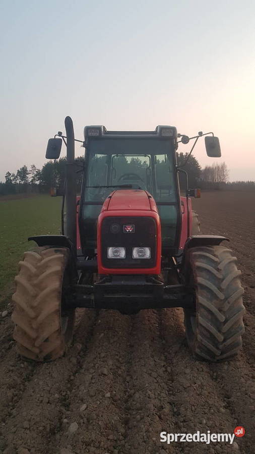 Sprzedam Massey Ferguson 6245 40 h prezentacja Nowy Dwór