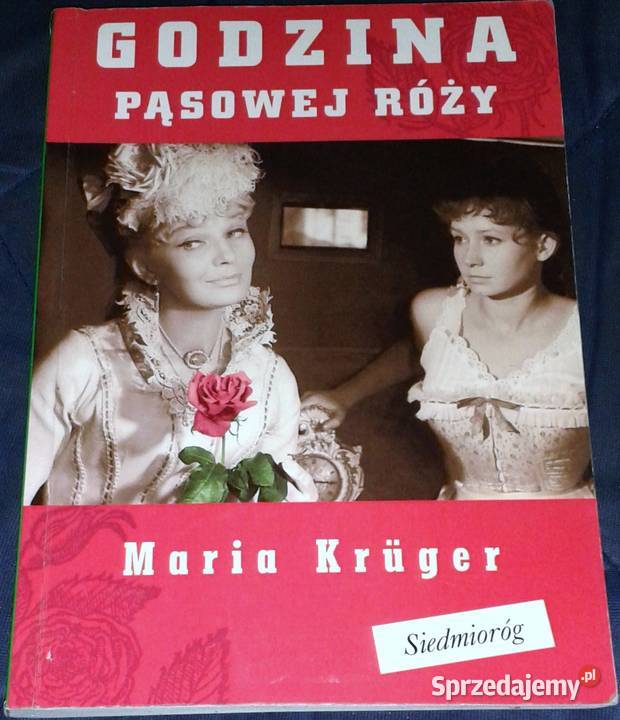 Godzina pąsowej róży Maria Krger Chełm