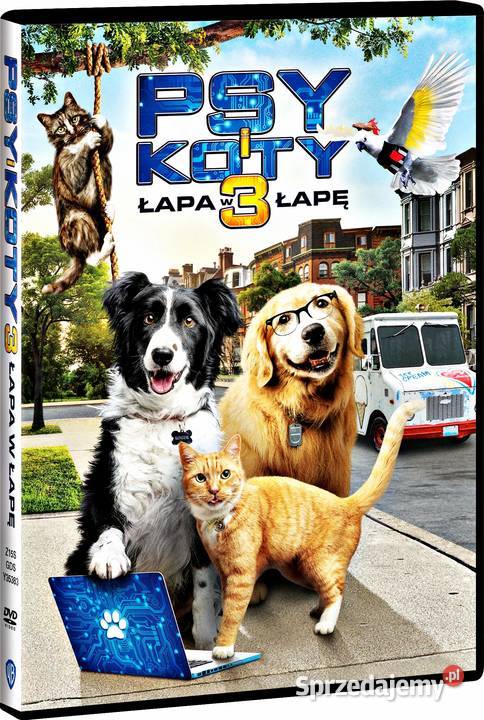PSY I KOTY 3 ŁAPA W ŁAPĘ Filmy Kalisz