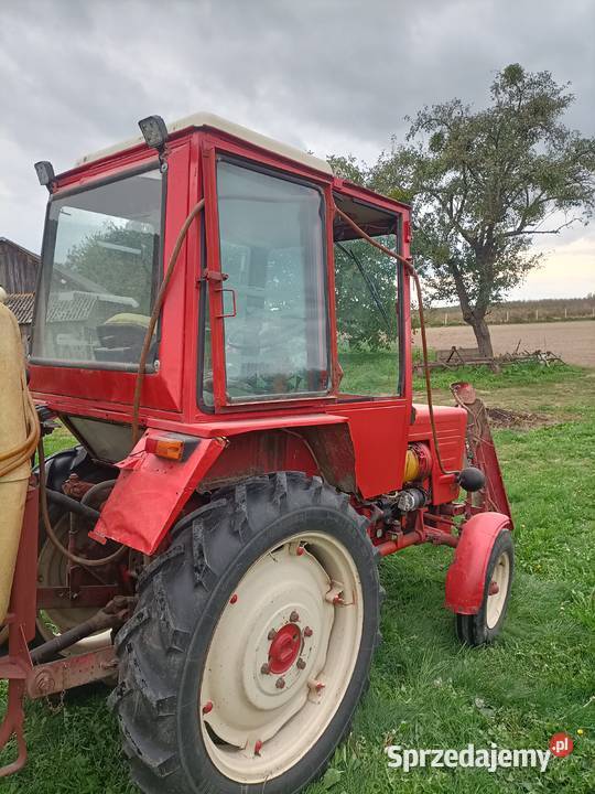 sprzedam t 25 Niezabitów-Kolonia